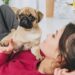 Erros que você deve evitar ao cuidar do seu cachorro para garantir a saúde dele