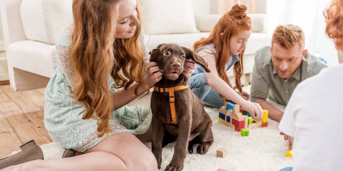Como escolher o nome ideal para o seu cachorro com base no comportamento