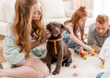 Como escolher o nome ideal para o seu cachorro com base no comportamento