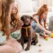 Como escolher o nome ideal para o seu cachorro com base no comportamento