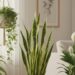 Plantas que melhoram a qualidade do ar dentro casa e evitam doenças respiratórias