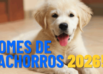 Nomes de cachorros que farão sucesso em 2026