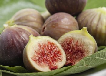 Cultive figueira no seu quintal e desfrute de frutos doces durante toda a estação