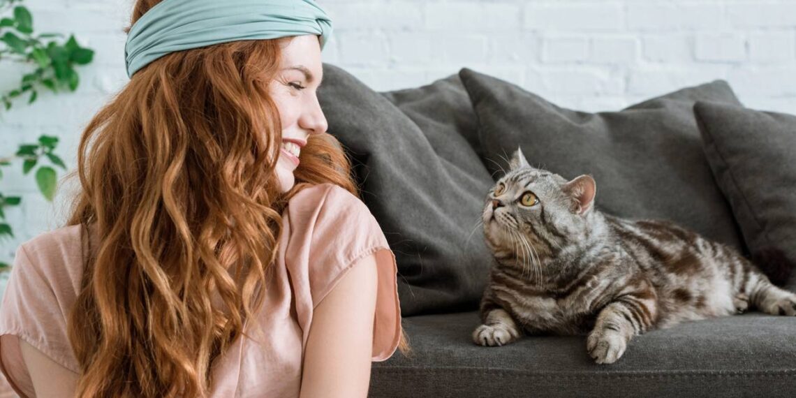 Nomes para o gato inteligente que aprende comandos com facilidade