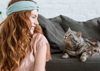 Nomes para o gato inteligente que aprende comandos com facilidade