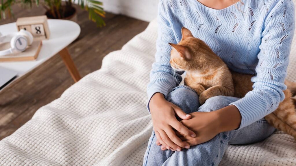 Nomes para o gato inteligente que aprende comandos com facilidade