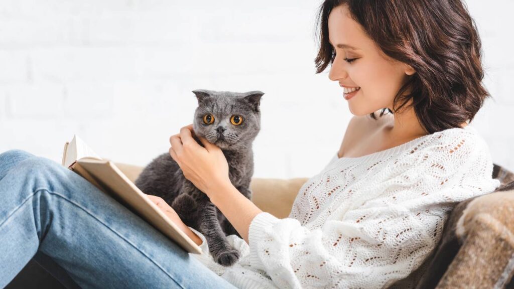 Nomes para o gato inteligente que aprende comandos com facilidade