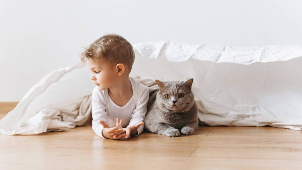 Nomes perfeitos pro gato que te segue até no banheiro