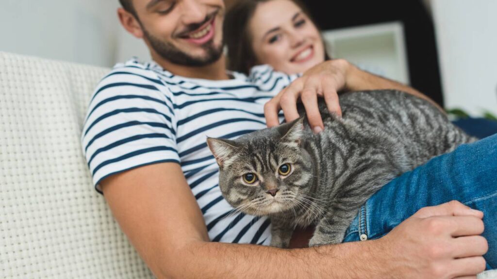 Nomes perfeitos pro gato que te segue até no banheiro