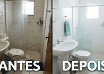 limpar o banheiro corretamente