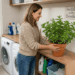plantas para espantar barata da lavanderia