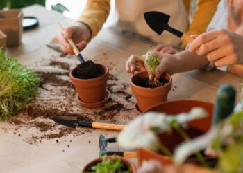 Como cuidar de plantas no calor intenso sem queimar as folhas