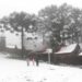 A cidade brasileira onde a neve transformou as ruas em um espetáculo que paralisou os moradores