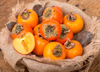 Método infalível para cultivar caqui em casa e obter frutos saborosos permanentemente