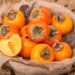 Método infalível para cultivar caqui em casa e obter frutos saborosos permanentemente