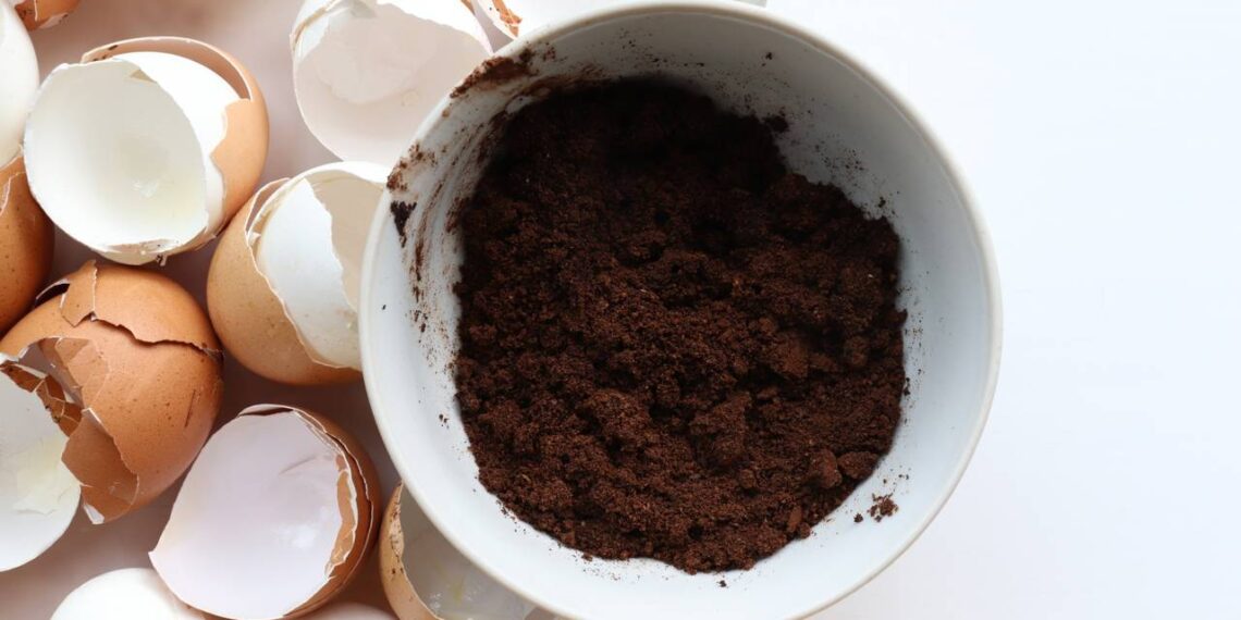 Nem água sanitária, nem desinfetante: casca de ovo moída que tira mancha de caneca de café pra sempre