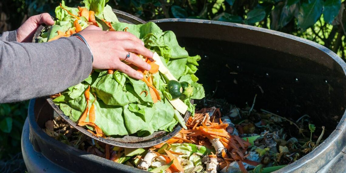 Como reduzir o desperdício de alimentos em casa
