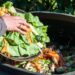 Como reduzir o desperdício de alimentos em casa