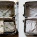 Basta uma folha para espantar percevejos de viagem na mala