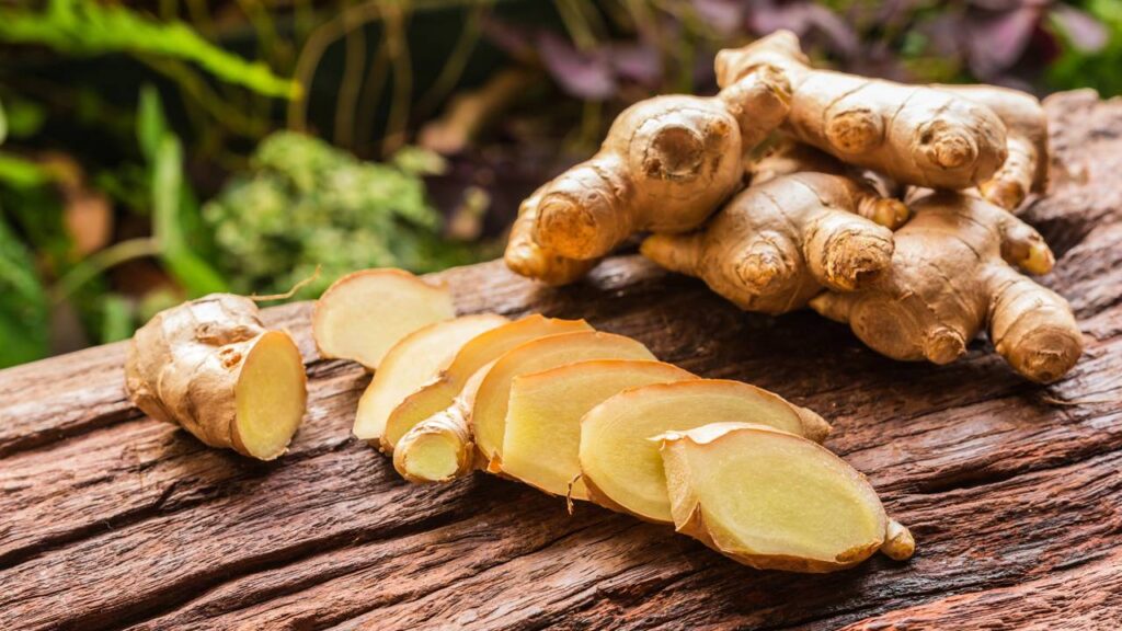 Aprenda como plantar gengibre em casa com preparo simples do solo e cuidados básicos