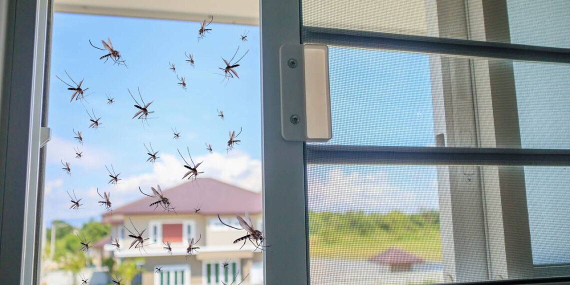 Rede de proteção de casa com pernilongos