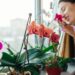 Orquídea na árvore ou no vaso? Entenda como imitar a natureza na sua sala já