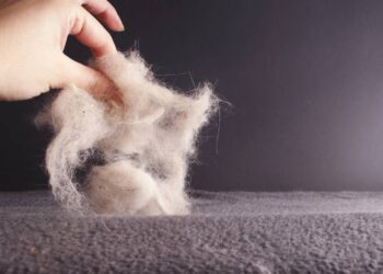 pelo de pet