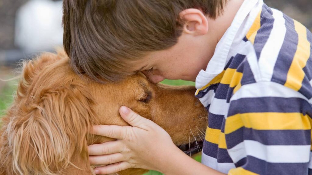 Nomes mais criativos de cachorro e gato mais usados no Brasil em 2025