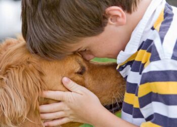 Alguns cuidados com pets parecem demonstração de carinho, mas podem causar doenças silenciosas e problemas de saúde