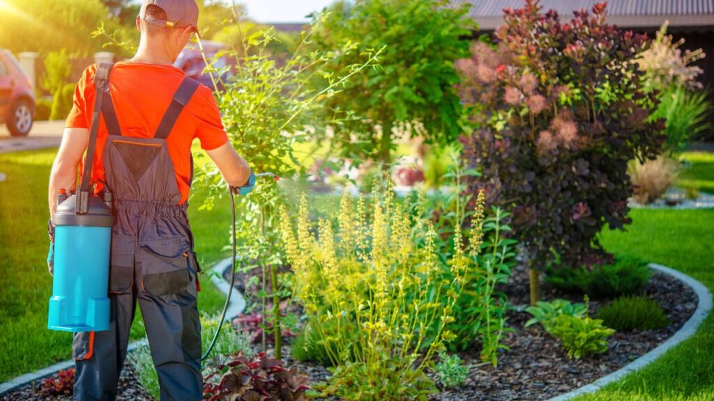 Formas práticas e eficazes de manter insetos longe no verão sem venenos químicos, usando soluções naturais, limpeza e barreiras físicas