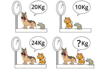 Calcular o peso dos animais em 11 segundos é possível? Teste agora