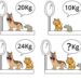 Calcular o peso dos animais em 11 segundos é possível? Teste agora