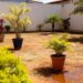 Como manter o quintal livre de mosquitos e larvas durante o verão chuvoso