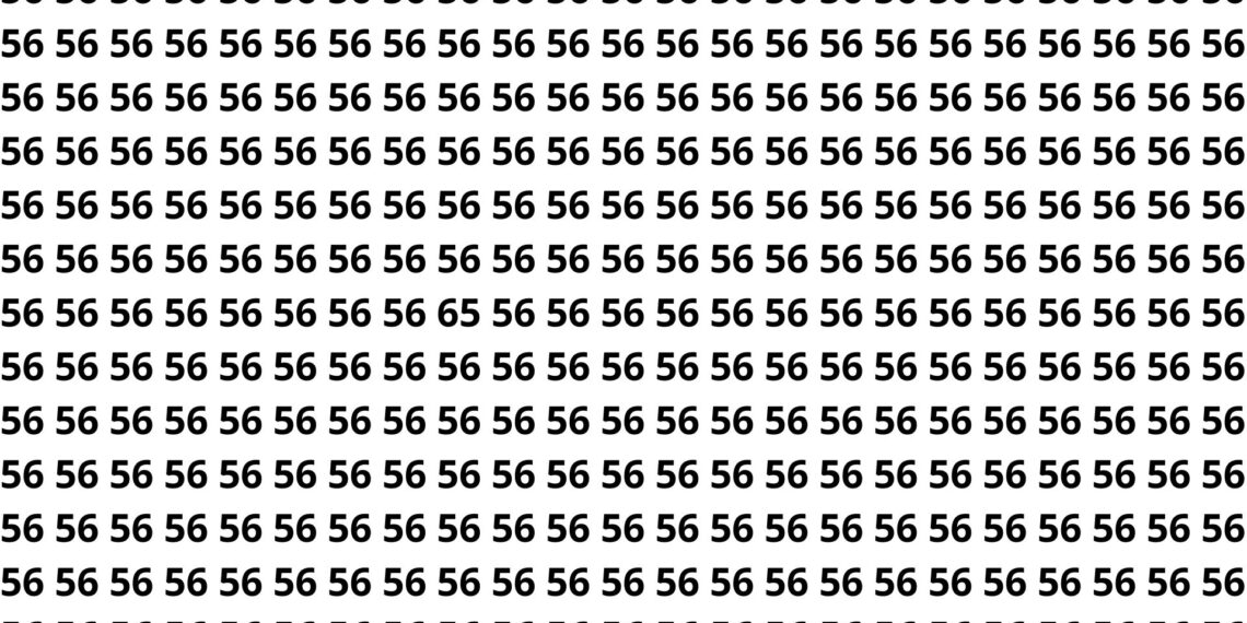 Consegue achar o número 65 escondido entre tantos 56 em apenas 5 segundos?