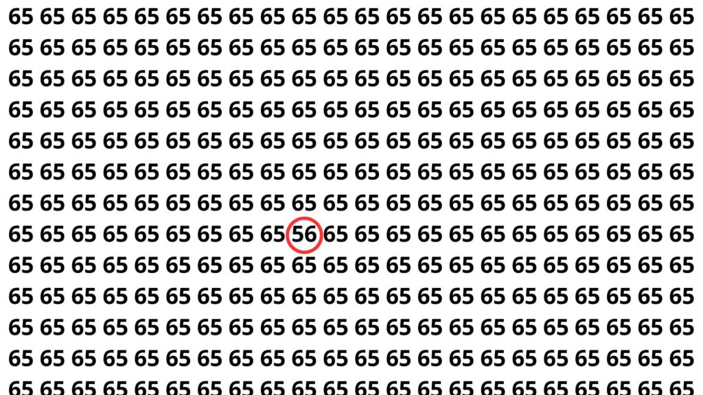 encontre o 56