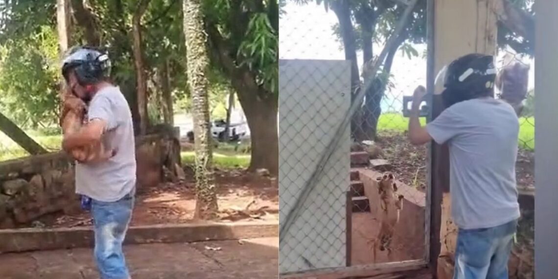 Tutor reencontra cão perdido na queima de fogos e emoção toma conta nas redes sociais
