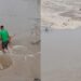 Homem enfrenta enchente para salvar cachorro caramelo e vídeo viraliza na Bahia