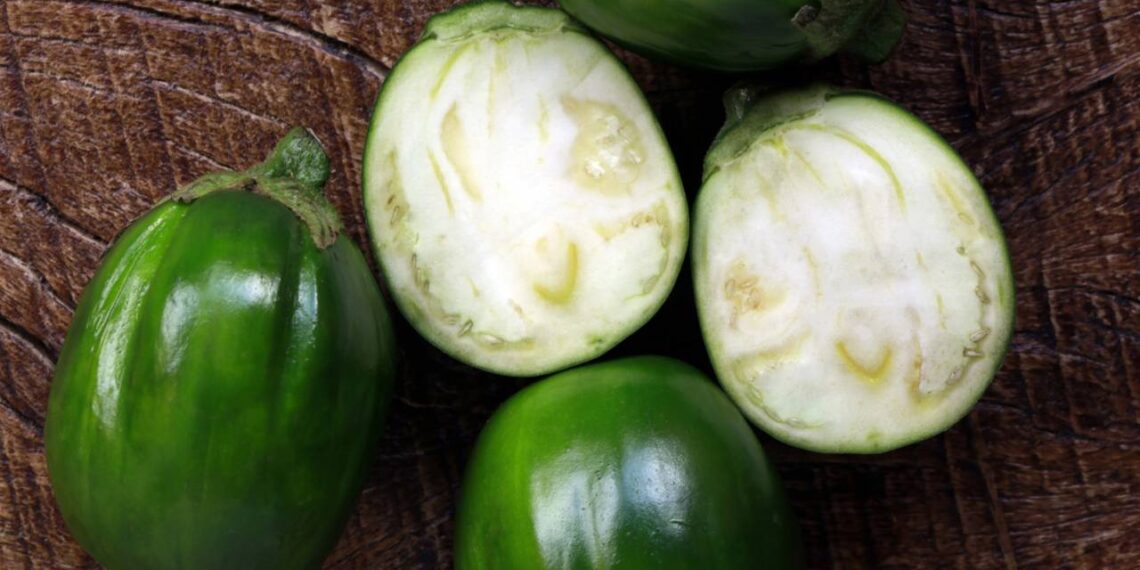 JILO VEGETAL