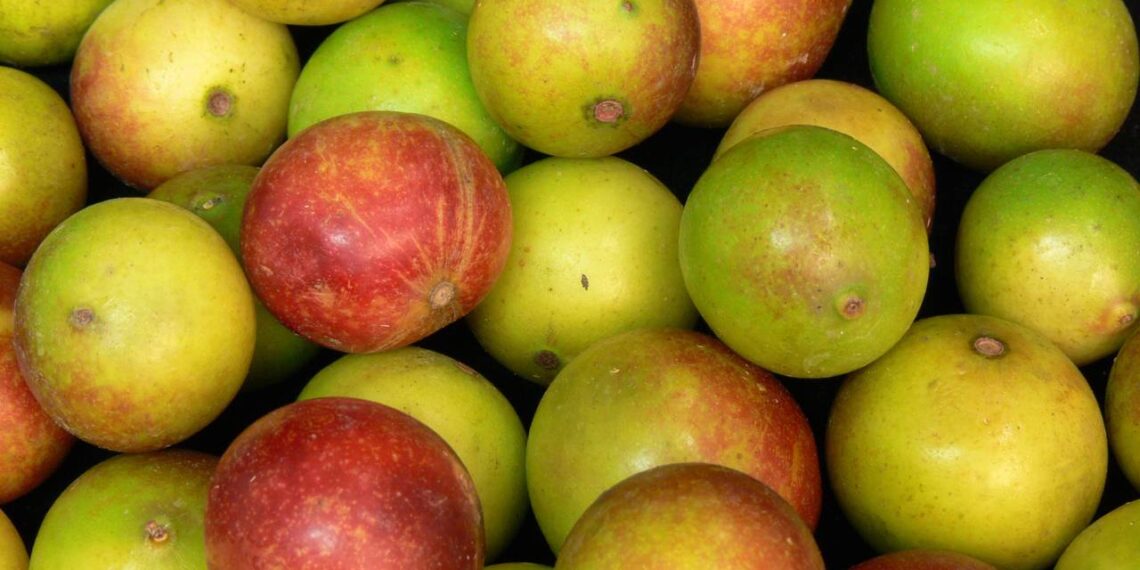 camu camu