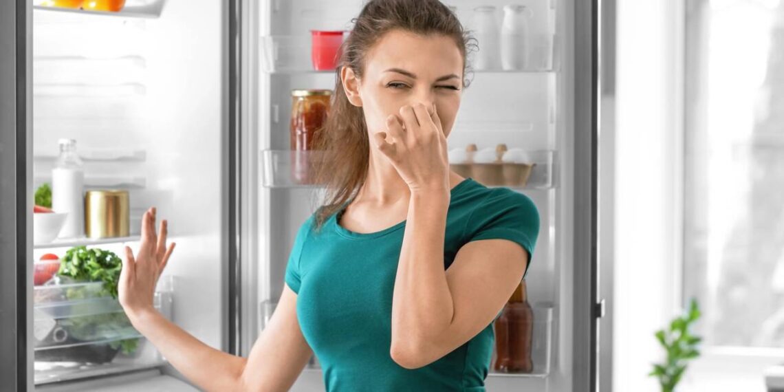 Suas frutas e verduras estragam rápido e você nem sabe o que está fazendo de errado? Saiba como evitar o desperdício