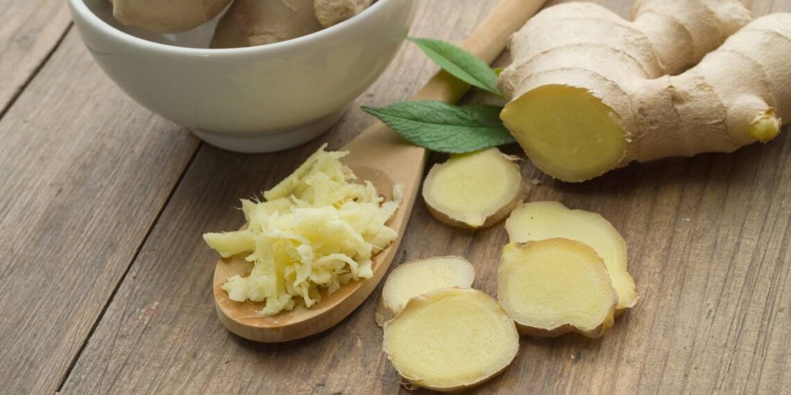 Aprenda como plantar gengibre em casa com preparo simples do solo e cuidados básicosAprenda como plantar gengibre em casa com preparo simples do solo e cuidados básicos