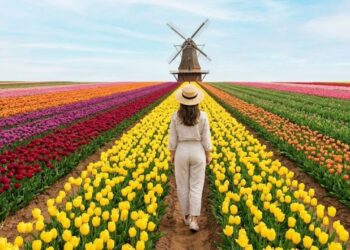 A vila holandesa a 130 km de São Paulo tem 15 mil habitantes, qualidade de vida europeia, economia movida por flores e o maior moinho da América Latina com 38 metros
