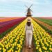 A vila holandesa a 130 km de São Paulo tem 15 mil habitantes, qualidade de vida europeia, economia movida por flores e o maior moinho da América Latina com 38 metros