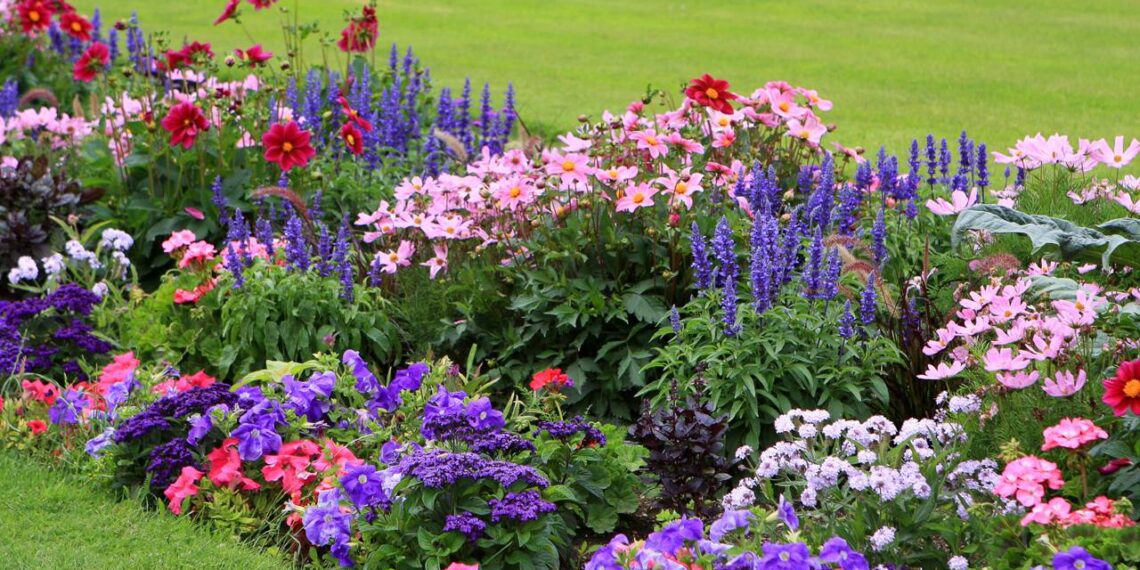 jardim de flores