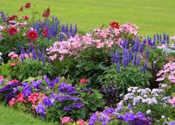 jardim de flores