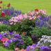 jardim de flores