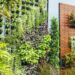 jardim vertical