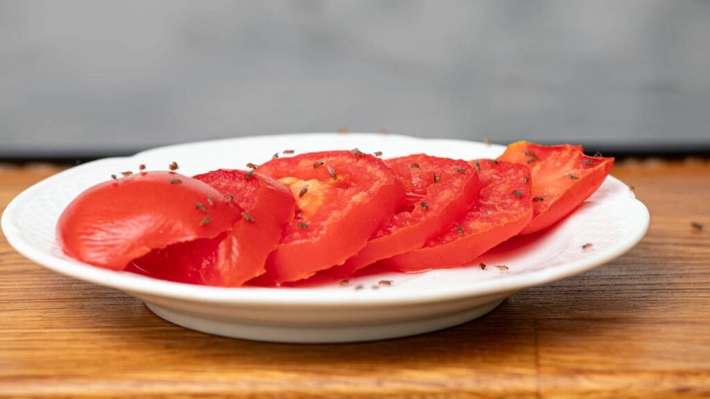 mosquitinho de frutas