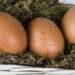 Substitutos de ovos que ajudam a adaptar receitas simples no dia a dia