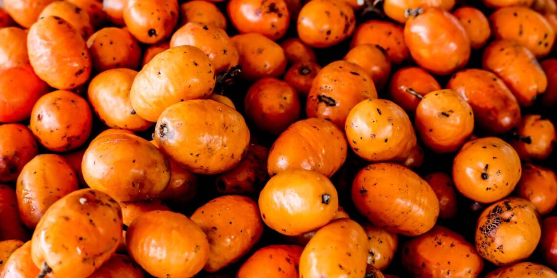 siriguela fruta